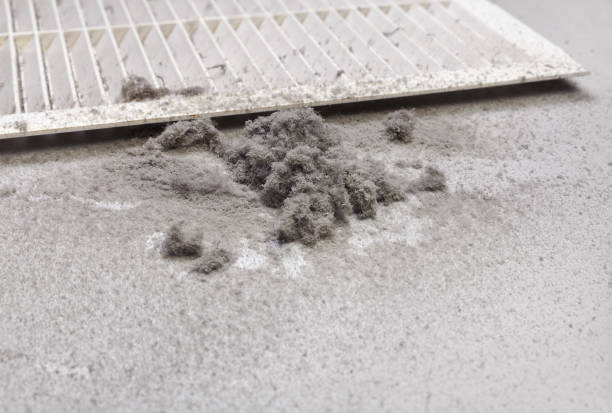 Best Ductwork Cleaning Services  in New Market, TN