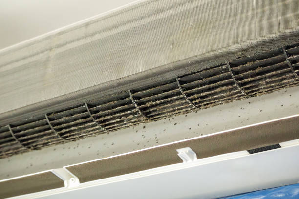 Best Duct Cleaning Specialists  in New Market, TN